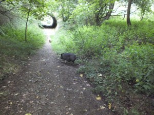 RöllchenMattias 007